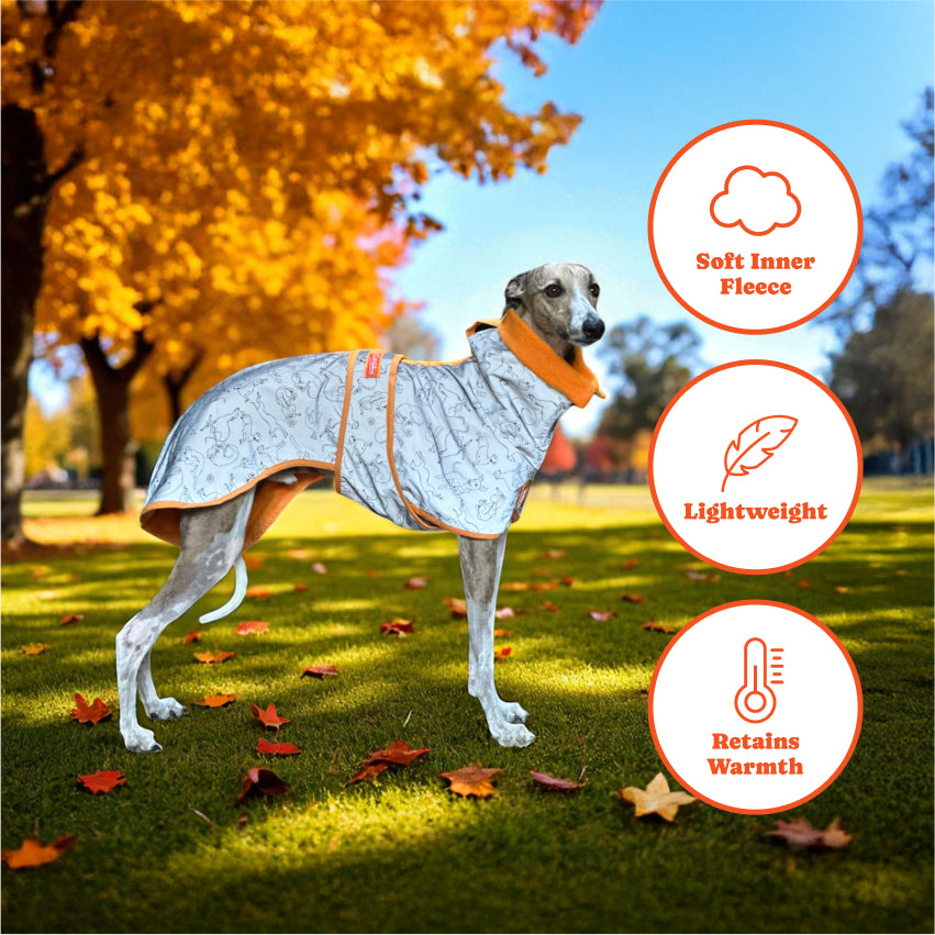 🐾 Whippet All-Weather Raincoat