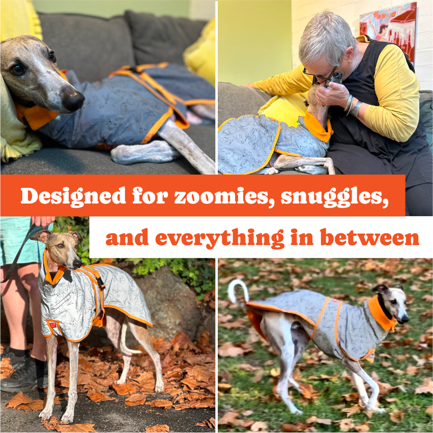 🐾 Whippet All-Weather Raincoat