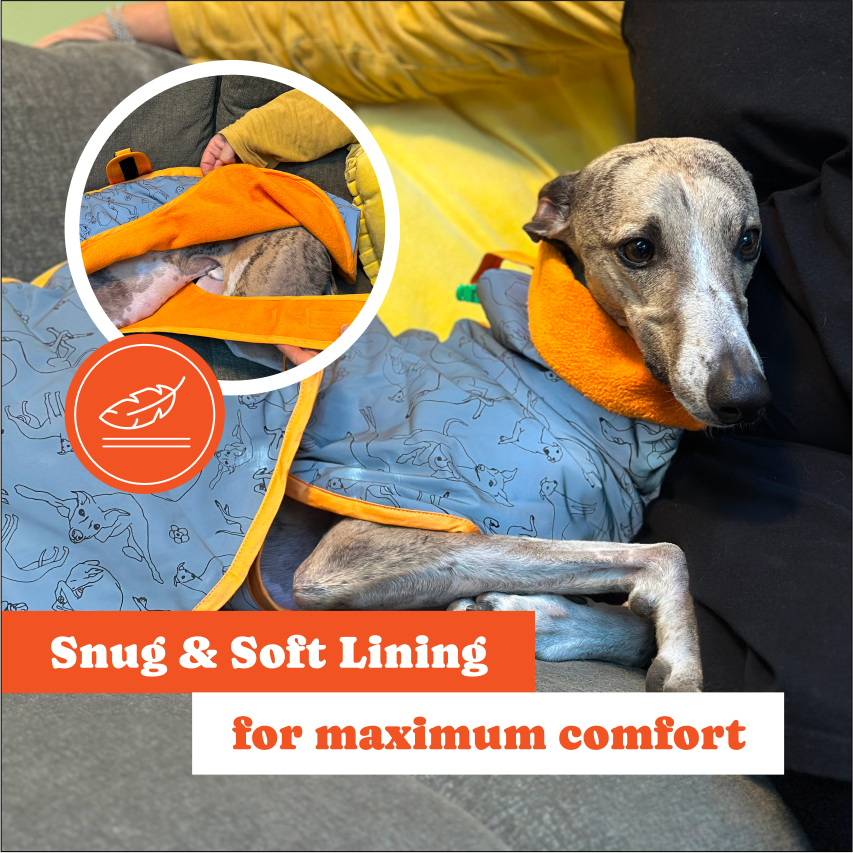 🐾 Whippet All-Weather Raincoat